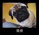 lalala 的头像