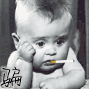 天行者 的头像