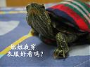 whatever 的头像