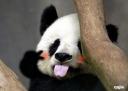 zsug 的头像