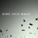 NineInchNaiL 的头像
