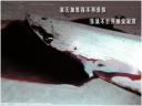 逆流 的头像