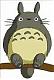 Totoro 的头像