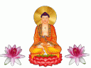清道夫 的头像