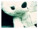 ⌒☆sharier☆⌒
