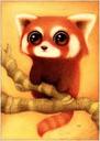 小浣熊 的头像